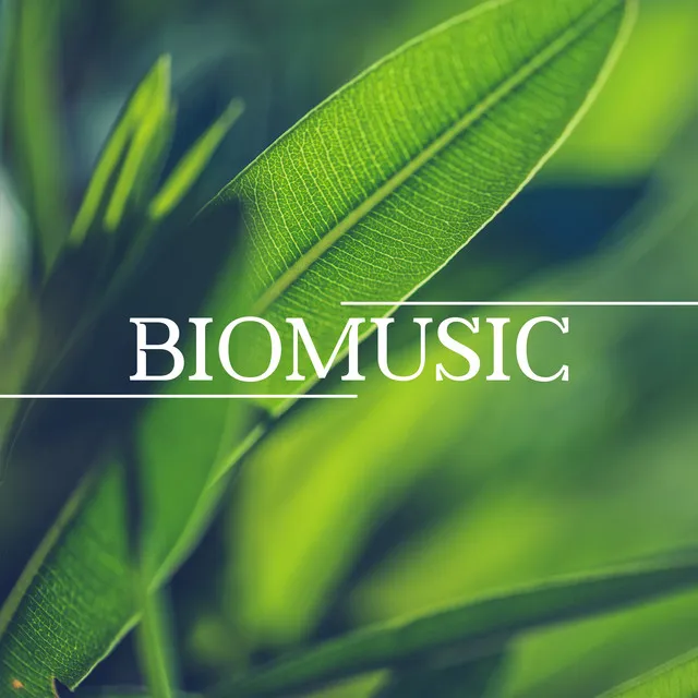 Biomusic: Relaxing Music With Nature Sound Effects