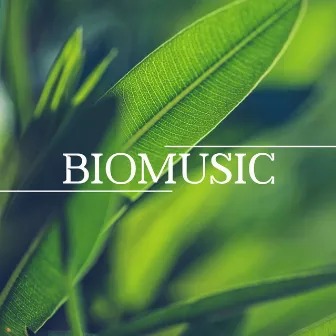 Biomusic: Relaxing Music With Nature Sound Effects by Nature Collection