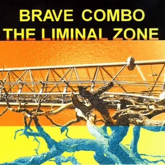 The Liminal Zone by Brave Combo