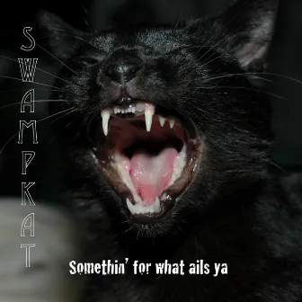 Somethin' for What Ails Ya' by Swampkat