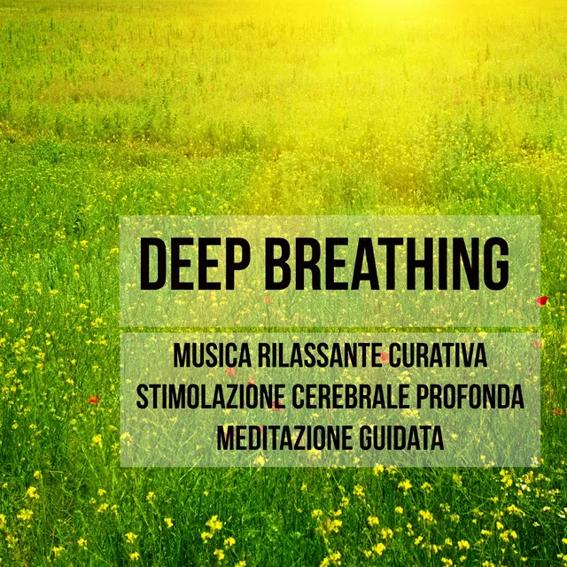 Deep Breathing - Musica Rilassante Curativa per Stimolazione Cerebrale Profonda Meditazione Guidata con Suoni dalla Natura Calmanti Strumentali