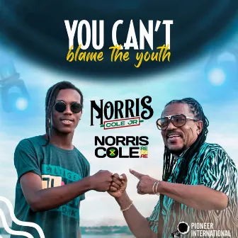 You Can't Blame the Youth by Norris Cole Jr