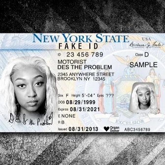 Fake ID by Destheproblem