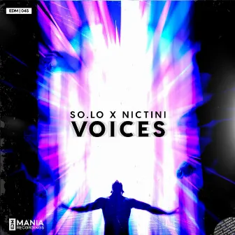 Voices (Radio Edit) by NicTini