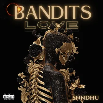 Bandits Love by SNNDHU