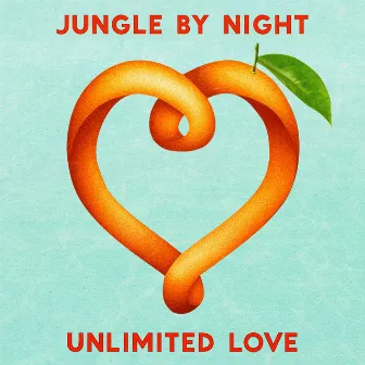 Unlimited Love by Jungle by Night