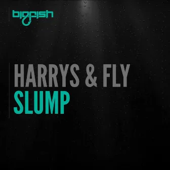 Slump by Harrys & Fly