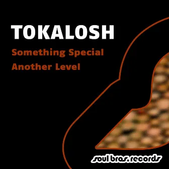 Something Special / Another Level by Tokalosh