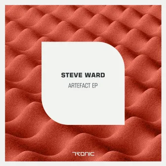 Artefact EP by Steve Ward