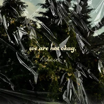 We Are Not Okay by NIKKITA