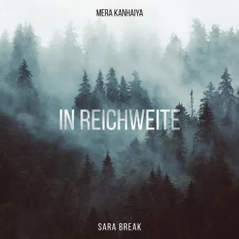 In Reichweite by Sara Break