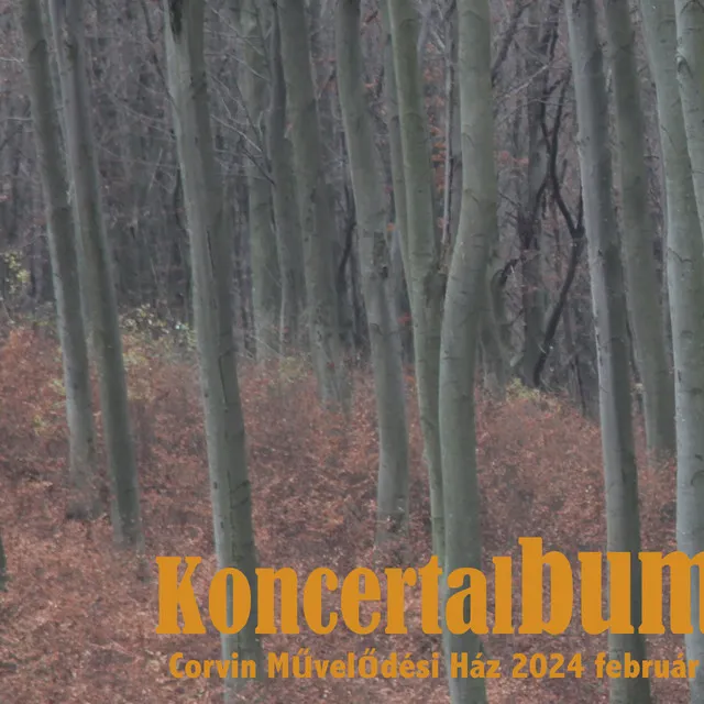 Koncertalbum (Corvin Művelődési Ház, 2024 február - Live)