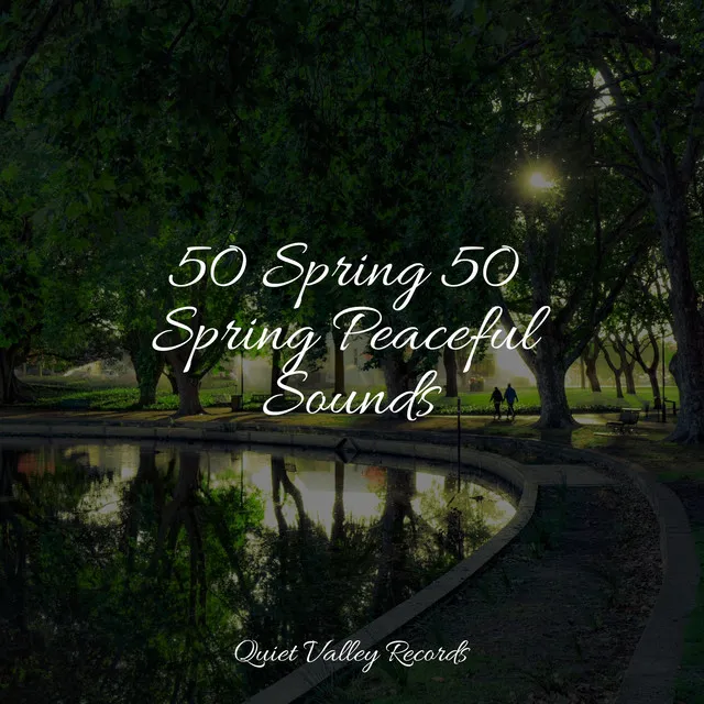 50 Spring 50 Spring Peaceful Sounds