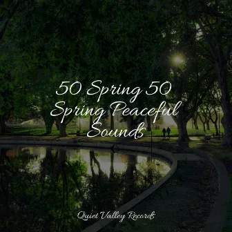 50 Spring 50 Spring Peaceful Sounds by Zen