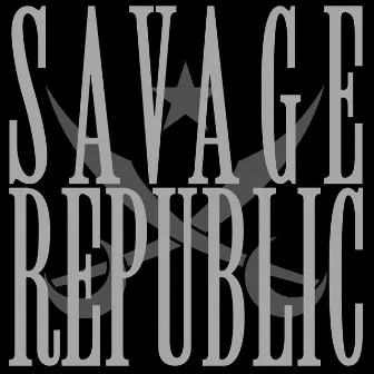 Nothing at All by Savage Republic