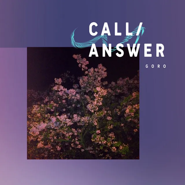 Call/Answer