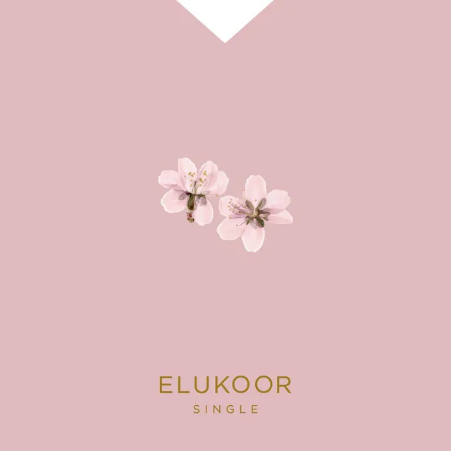 Elukoor