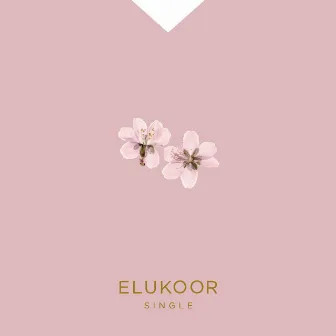 Elukoor by Mari Kalkun