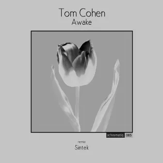 Awake by Tom Cohen