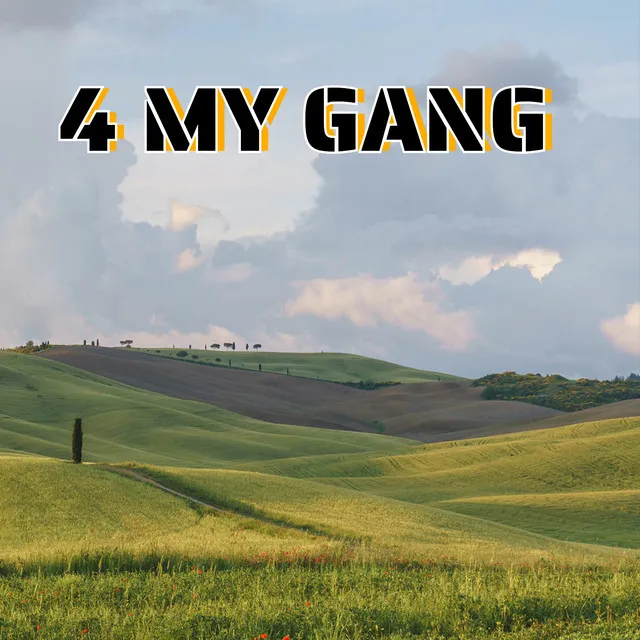 MY GANG