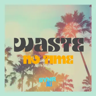 Waste No Time by SYNR ALi