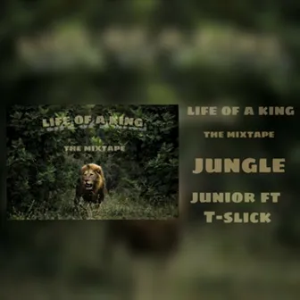 Jungle by Junior