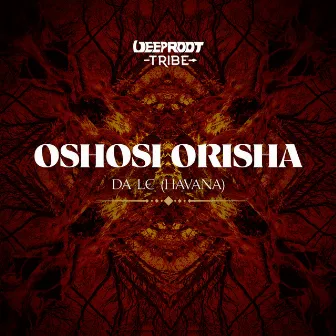 Oshosi Orisha by Da Le (Havana)