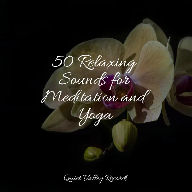 50 Relaxing Sounds for Meditation and Yoga