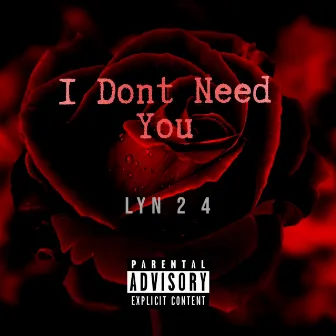 I Don’t Need You by LYN 2 4