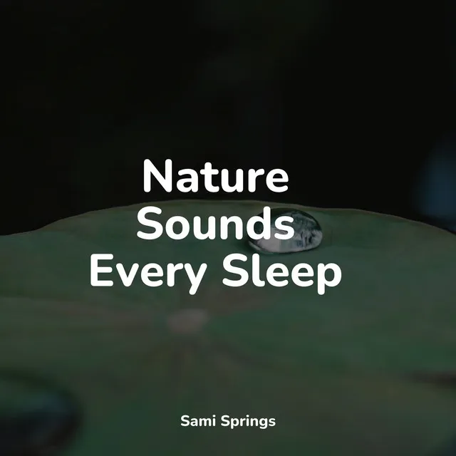 Nature Sounds Every Sleep