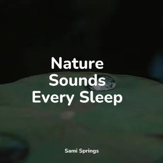 Nature Sounds Every Sleep by Meditation Rain Sounds