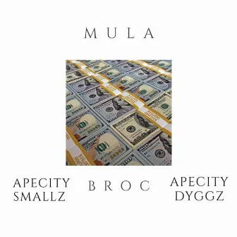 Mula by Apecity Smallz