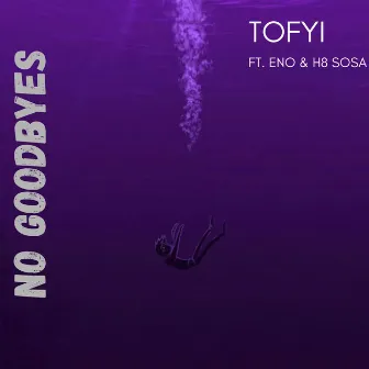 No Goodbyes by Tofyi