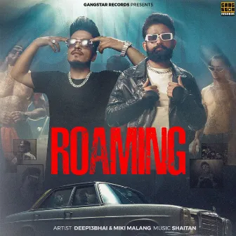 Roaming by Deep13Bhai