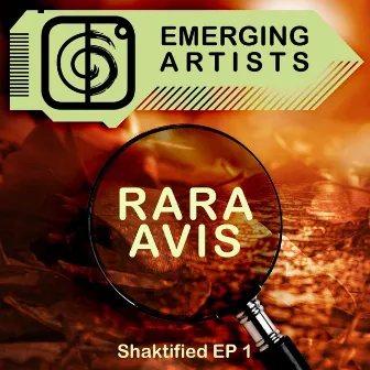 Shaktified EP 1 by Rara Avis