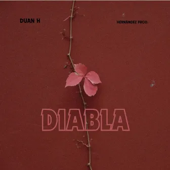 Diabla. (Audio Oficial) by Duan