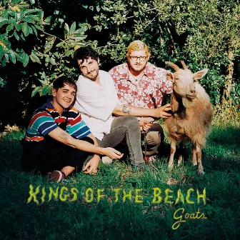 Goats by Kings of the Beach