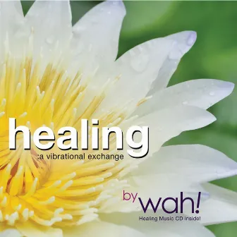 Healing: A Vibrational Exchange by Wah!