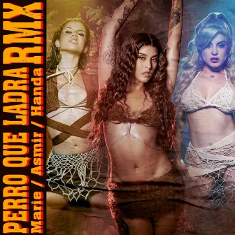 Perro que Ladra (Remix) by Marie Cherry