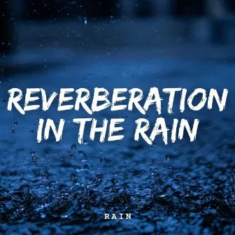 Rain: Reverberation in the Rain by Microdynamic Recordings