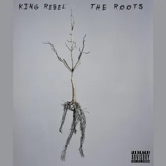 The Roots by GXDZ WXRK