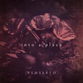 into a place by Venserto