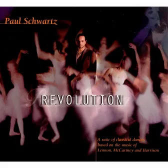 Revolution by Paul Schwartz