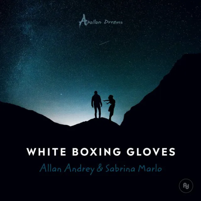 White Boxing Gloves