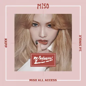 MiSO ALL ACCESS by Miso