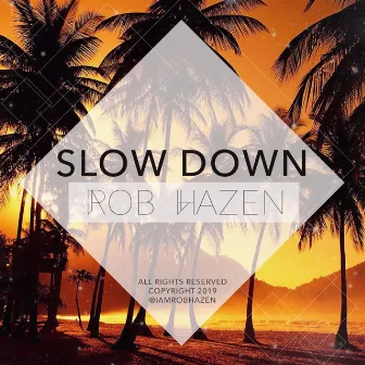 Slow Down by Rob Hazen