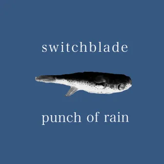 punch of rain by Switchblade