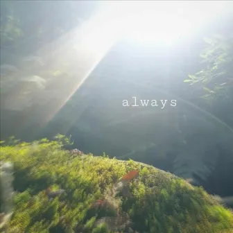 always by Beenstar