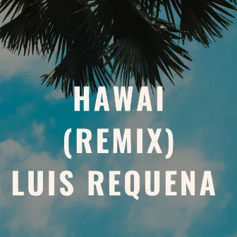 Hawai (Remix) by Luis Requena