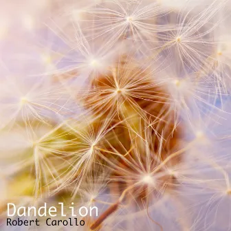 Dandelion by Robert Carollo